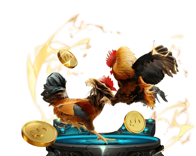 Dịch vụ khách hàng to888 chuyên nghiệp